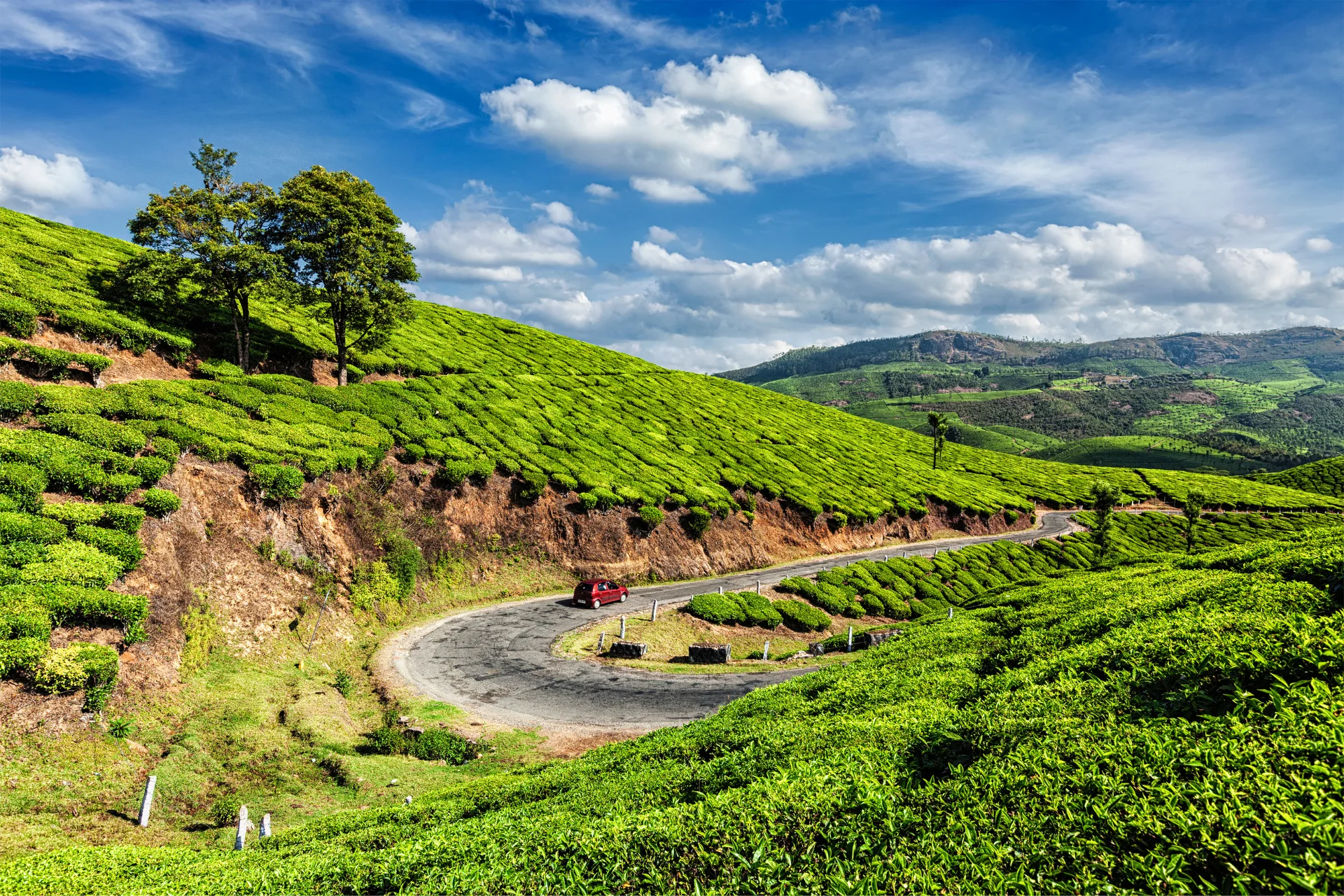 India - Destination Image 2