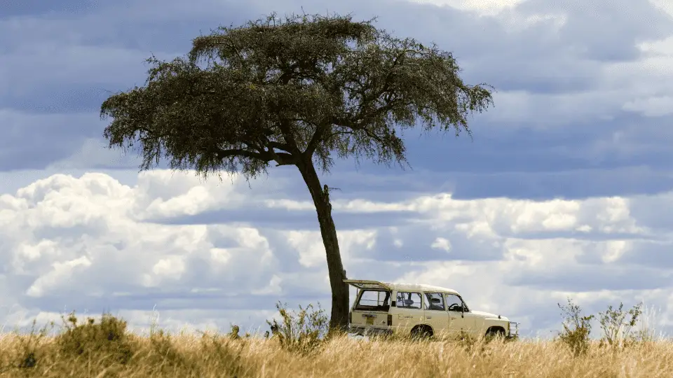 Kenya-Day-4
