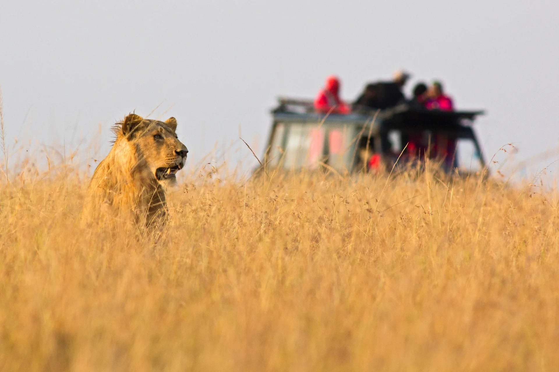 South Africa - Destination Image 1